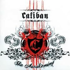 Caliban Another Cold Day vocal cover