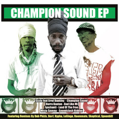 Champion Sound Spoonbill Remix