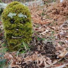 Ritmosa Taboada {Indigena Pontés}(instrumental)