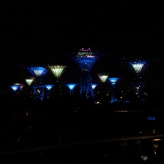 LDR (Cover by veenamei - karaoke)