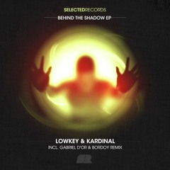 Teaser Selected 133 : LowKey & Kardinal - Behind The Shadows (Original mix)