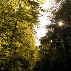 The Rivers and The Rocks (demo)