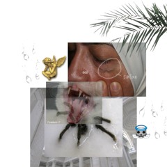 WHITEＳＡＬＥＭ☹悲し㌲ۼpaleۼsatanۼ