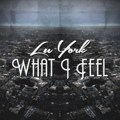 Lu York - What I Feel (Original Mix)