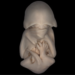 Almost Human Acapella 98BPM