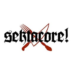 In the streets a Sekta core