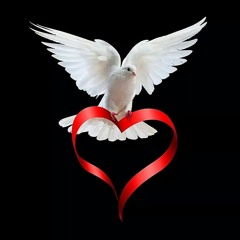 اسكت بقه at يلا مع السلامه