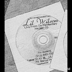 (I CALL IT HOW I SEE) by LIL WILSON