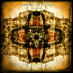 SUMMER OF SLURK - DJ SET