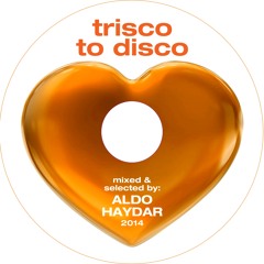 Aldo Haydar - Trisco To Disco - 2014 A