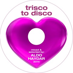 Aldo Haydar - Trisco To Disco - 2014 B