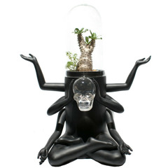 Urdhva Mukha Svanasana