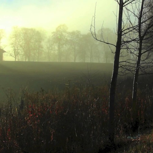 Darkside - Planet Caravan