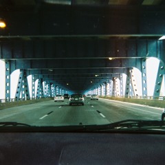 ArchAnimals - Hallway