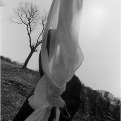 어느 평범한 날에