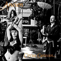 Cirq Carnival