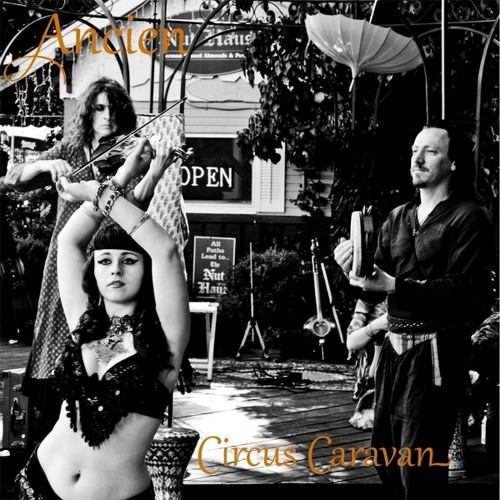 Cirq Carnival