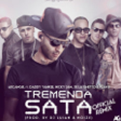 Tremenda Sata (Remix)- Arcángel ft. De la Ghetto, Daddy Yankee, Nicky Jam y Plan B