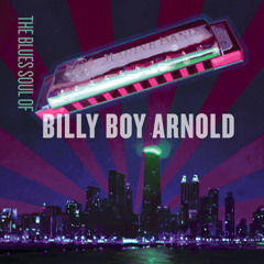 Billy Boy Arnold - 02 - I'd Rather Drink Muddy Water