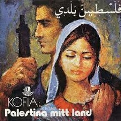 Kofia - Bull Bull
