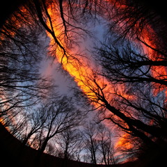 chill/ambient