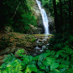 Artesian - Yung Tide Feat. Steezy P