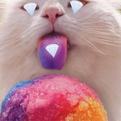 Rainbow Unicorn Kitty