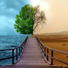 مبنتكلمش  ذكرى