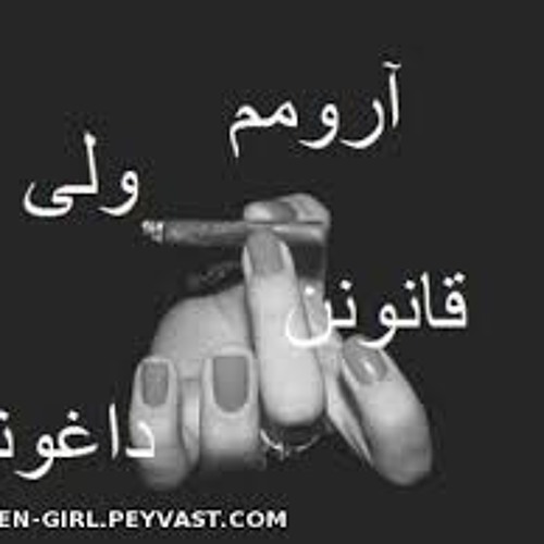 Shahin Jafari - Shahre Kasif