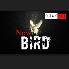 New Bird