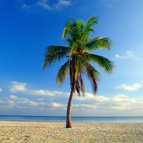 Sleepytime - Beachshade (Herzeloyde Remix)