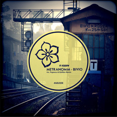 METRANOMM - bivio [Golikov & Popescu remix]