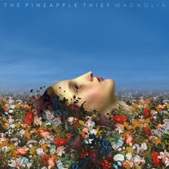 The Pineapple Thief - Simple As That (from Magnolia)