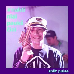 Split Pulse@Naktiniai Paukščiai ZIP FM