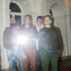 Radian Verses Howe Gelb - From Birth To Mortician