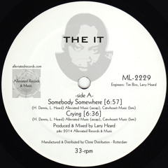 THE IT - EP - Alleviated Records & Music [ML-2229]