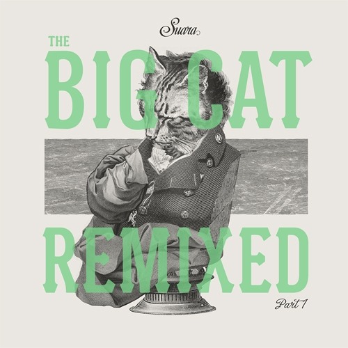 Coyu - Just Nin (Andre Lodemann Remix) - Suara