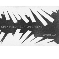 Open Field + Burton Greene - Rising Intensity (for Alan Silva)