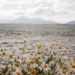 Teachers' Day Song 2014 ;-)