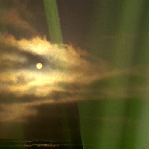 Austin Cesear - La Paloma (Taken from West Side mini-album released 29th September 2014