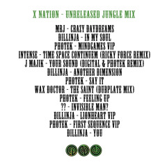 Shibui Festival promo mix *UNRELEASED 94 JUNGLE*