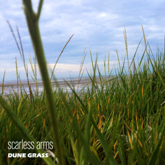 Dune Grass (ambient melancholic electronic)