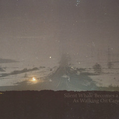 Silent Whale Becomes A Dream-As Walking On Canopy