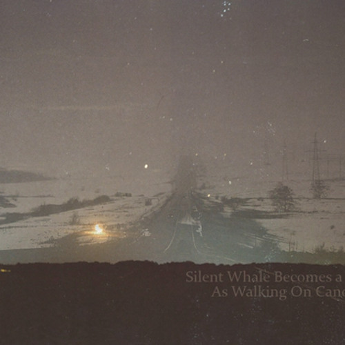 Silent Whale Becomes A Dream-As Walking On Canopy