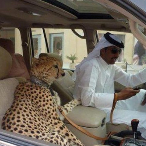 Arab Money (Remix) - R3ck0L3ss, Antz Mulboy, Judge Convict, Titan