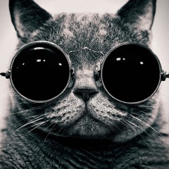 القطة المشمشية* :D