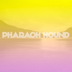 Pharaoh Hound - "Teeth, Fangs, Tusks"