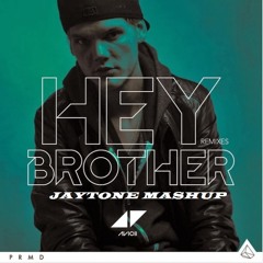 Avicii Vs Shanahan Vs Sick Individuals - Hey Powercat Brother (Jaytone Mashup)