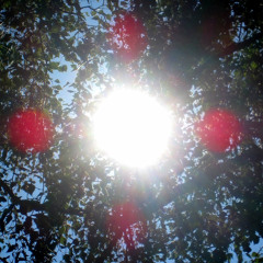 Mõistuse Hääl ❉