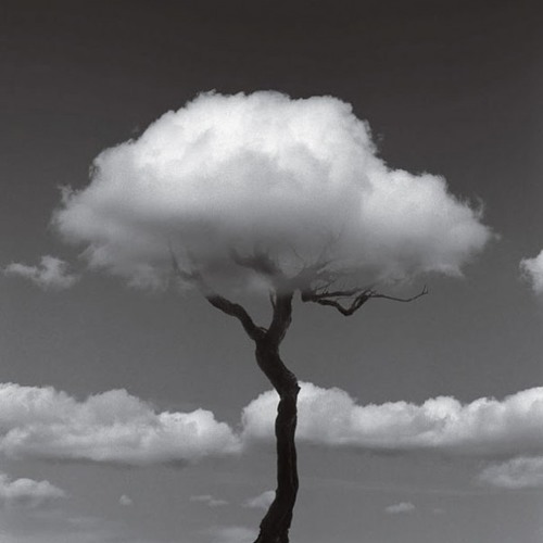 Gardens of God - Gluk (Original Mix)
